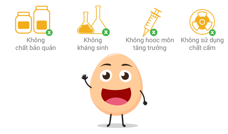 thức ăn cho đan gà không kháng sinh, không chất tăng trưởng